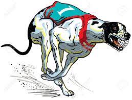 Race