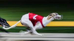 Race